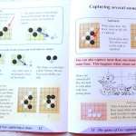 Asia and the game of Go