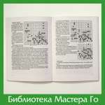 Ма Сяочун. Го и 36 стратагем
