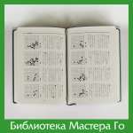 Отакэ Хидэо. Канонические дзёсэки Го