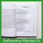 Отакэ Хидэо. Выдающиеся мастера Го современности
