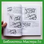 Отакэ Хидэо. Выдающиеся мастера Го современности